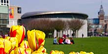 Van Gogh Museum