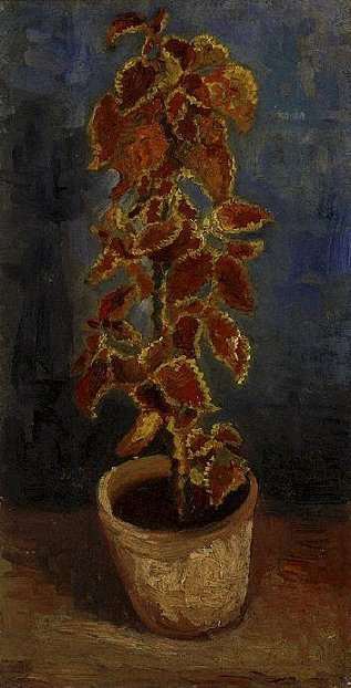 Coleus Plant in a Flowerpot by Vincent van Gogh