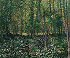 Trees and Undergrowth