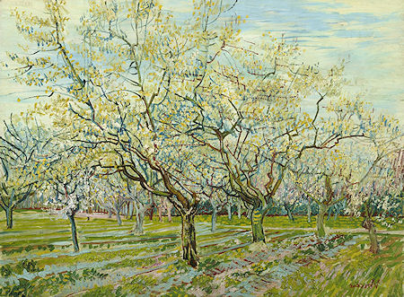 White Orchard by Vincent van Gogh