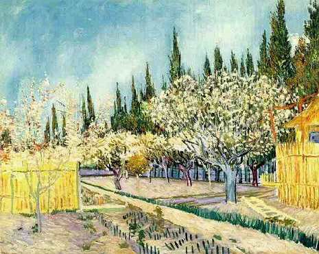 Orchard in Blossom, Bordered by Cypresses by Vincent van Gogh