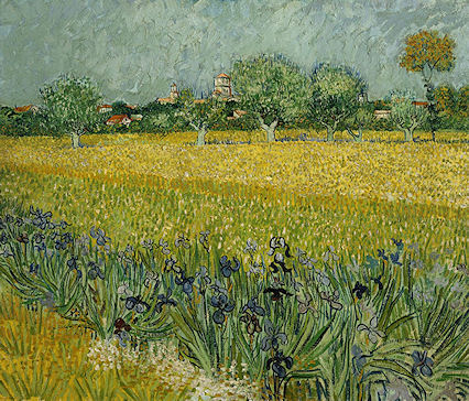 View of Arles with Irises in the Foreground by Vincent van Gogh