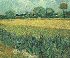 View of Arles with Irises in the Foreground