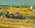 Harvest at La Crau