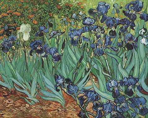 Irises by Vincent van Gogh