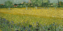 Field with flowers near Arles - Painting by Vincent van Gogh
