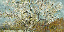 The pink peach tree - Painting by Vincent van Gogh