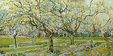 The white orchard - Painting by Vincent van Gogh